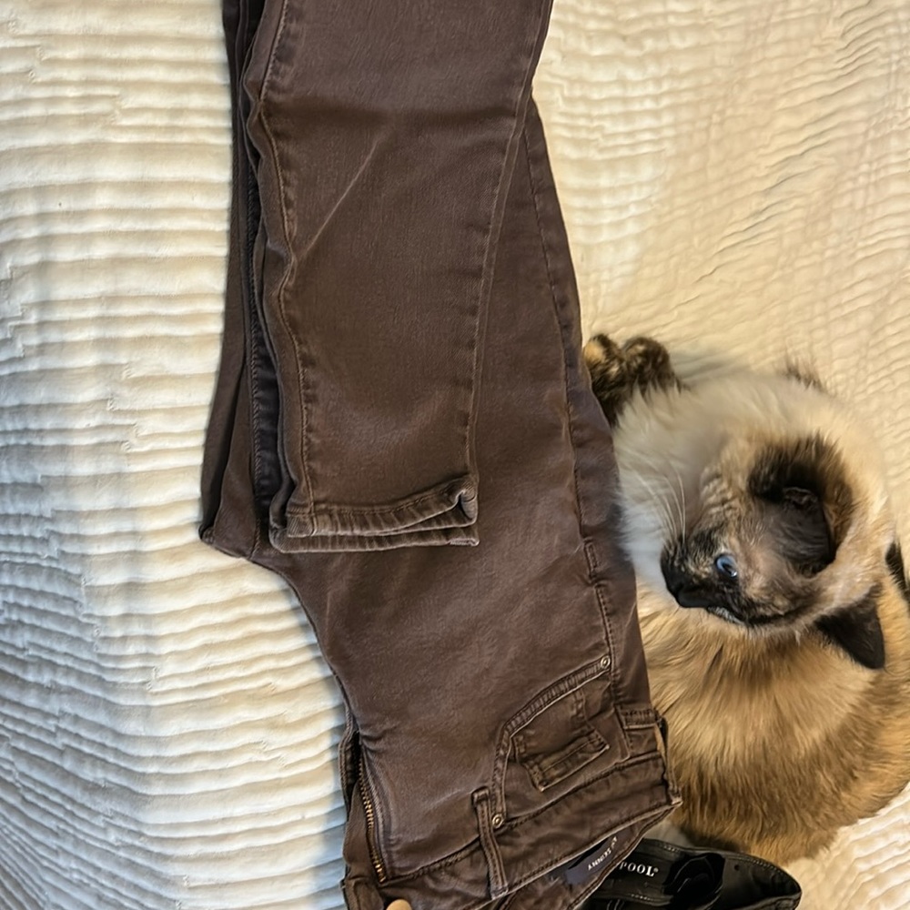 Brown Jeans